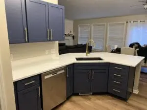 tnc painting gallery