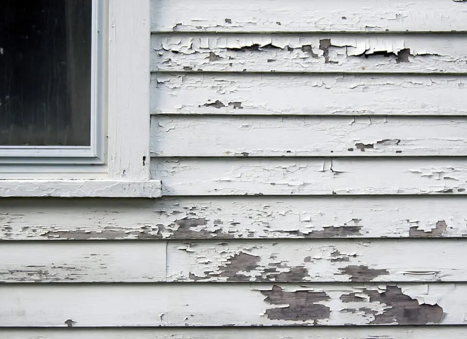 paint problems in humid weather Michigan