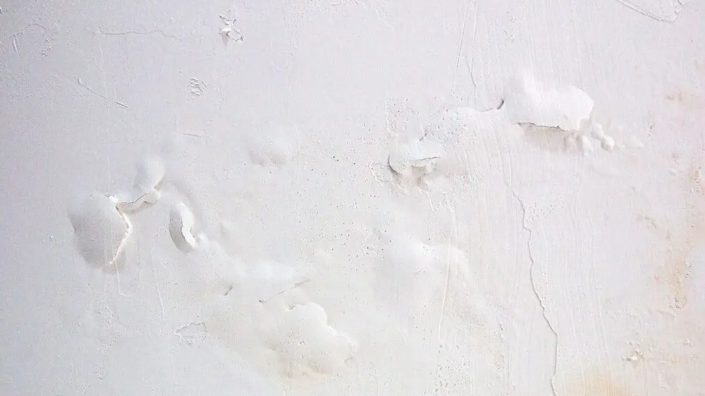 how humidity affects interior paint