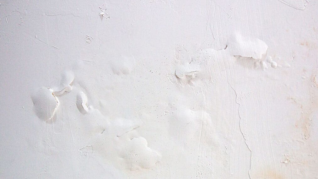 how humidity affects interior paint